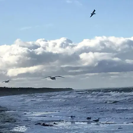 Hafen Eins * Fuhlendorf (Mecklenburg-Vorpommern)