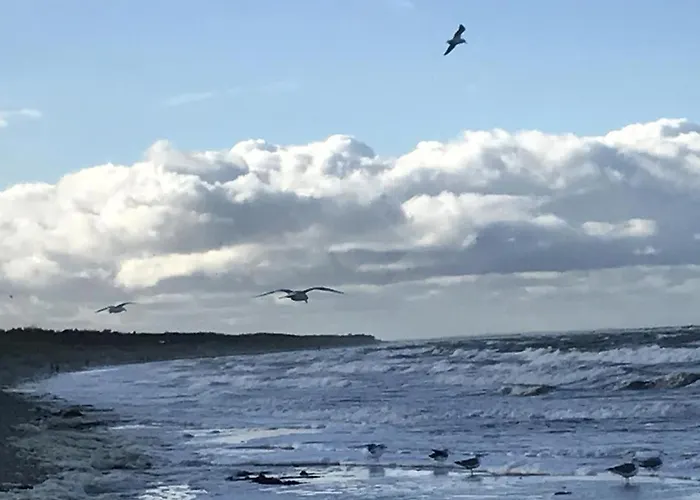 Hafen Eins * Fuhlendorf (Mecklenburg-Vorpommern)